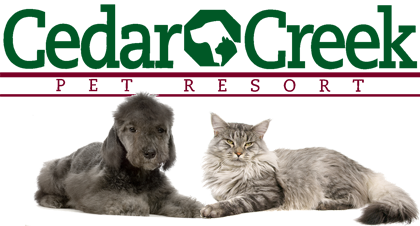Cedar Cree Pet Resort